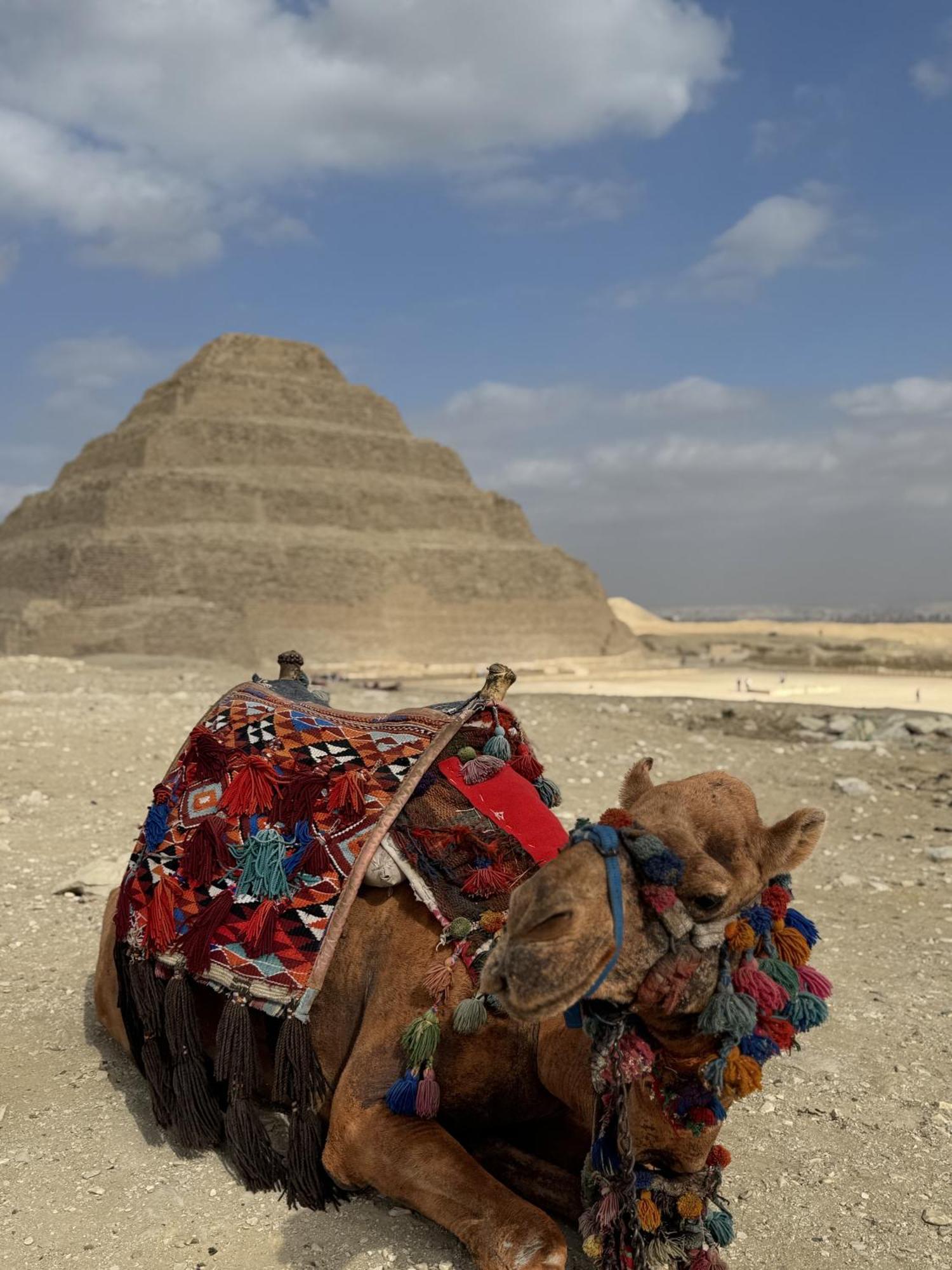 K Boutique Hotel Medspa-Pyramids & Grand Egyptian Museum Ghatati Экстерьер фото